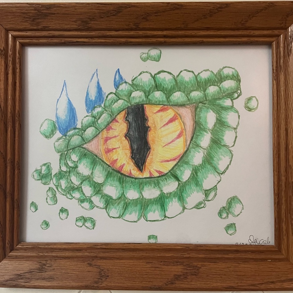 Original Dragon Eye Pencil Art Color Drawing Framed - 8x10